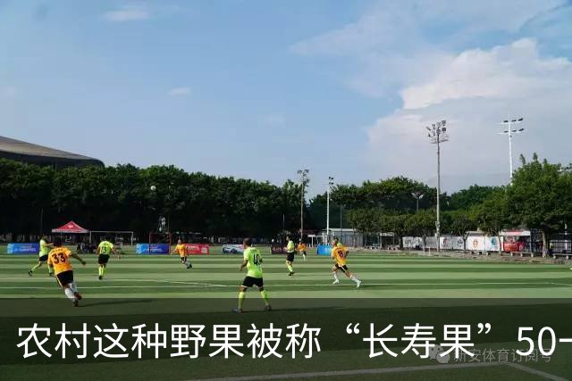 农村这种野果被称“长寿果”50一斤，农民不解其价值！用来烧火用？
