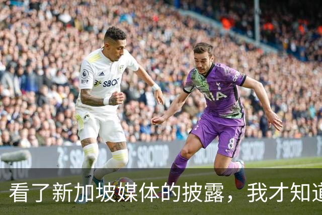 看了新加坡媒体的披露，我才知道，中国已经没必要向世界证明什么
